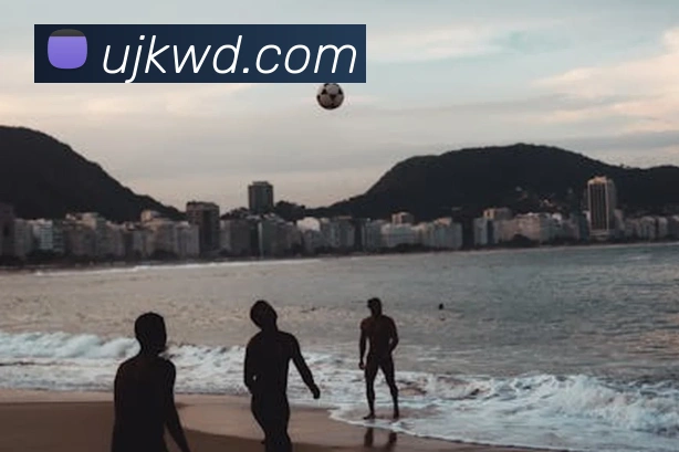 多媒体互动体验